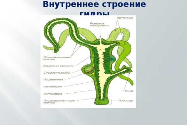 Омг даркнет ссылка